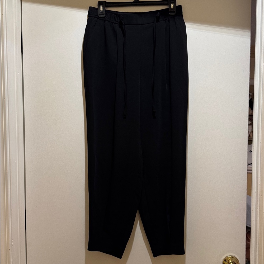 EXPRESS black ankle pants - Picture 2 of 9